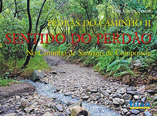 Capa do livro: Sentido do Perdão : No Caminho de Santiago de Compostela (Pedras do Caminho Livro 2) - Ler Online pdf