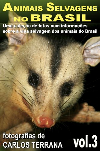 Capa do livro: ANIMAIS SELVAGENS NO BRASIL – uma coleção de fotografias com informações sobre a vida e costumes dos animais do Brasil – VOL.4 - Ler Online pdf