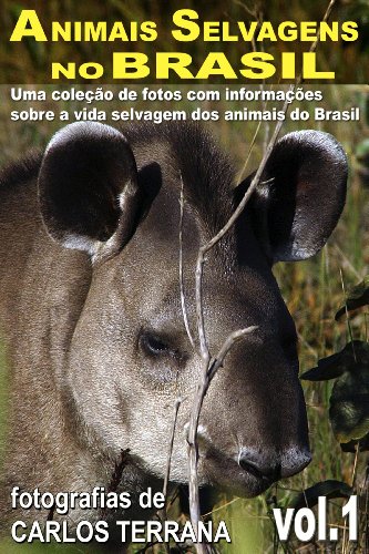 Capa do livro: ANIMAIS SELVAGENS NO BRASIL – uma coleção de fotografias com informações sobre a vida e costumes dos animais brasileiros – VOL.1 - Ler Online pdf