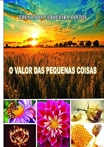Livro PDF O VAOLOR DAS PEQUENAS COISAS (1)