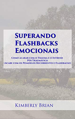 Livro PDF: Superando Flashbacks Emocionais: Como acabar com o Trauma e o Estresse Pós Traumático