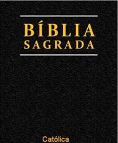 Capa do livro: Bíblia Sagrada Católica: Salve Rainha - Ler Online pdf
