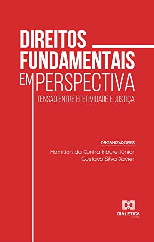 Capa do livro: Direitos fundamentais em perspectiva: tensão entre efetividade e justiça - Ler Online pdf