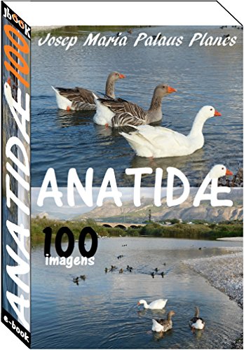 Livro PDF: Anatidæ (100 imagens)