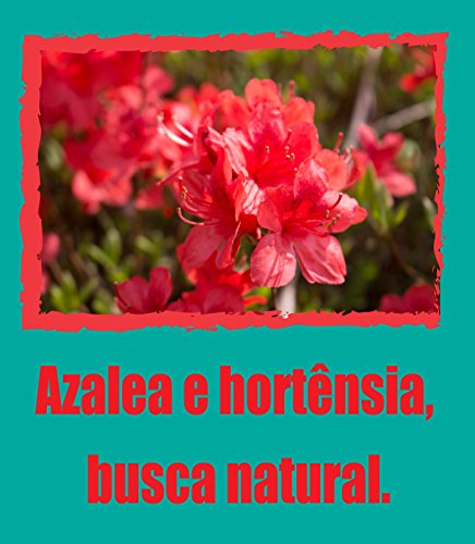 Livro PDF: Azalea e hortênsia, busca natural.
