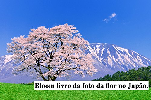 Livro PDF: Bloom livro da foto da flor no Japão.