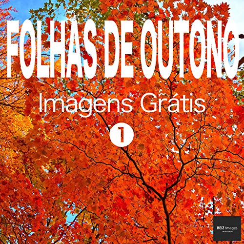 Livro PDF: FOLHAS DE OUTONO Imagens Grátis 1 BEIZ images – Fotos Grátis