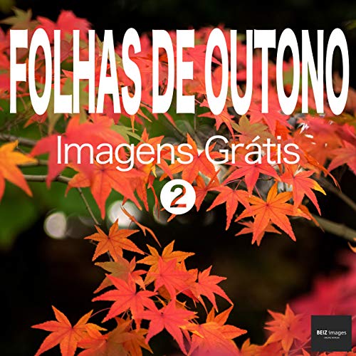 Livro PDF: FOLHAS DE OUTONO Imagens Grátis 2 BEIZ images – Fotos Grátis