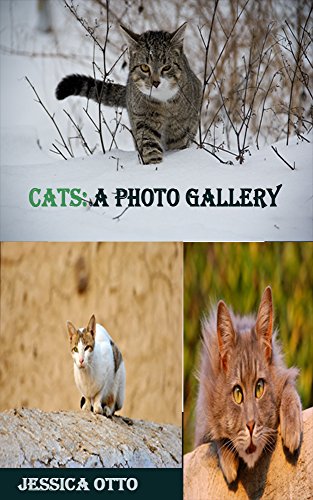 Capa do livro: CATS: A PHOTO GALLERY - Ler Online pdf