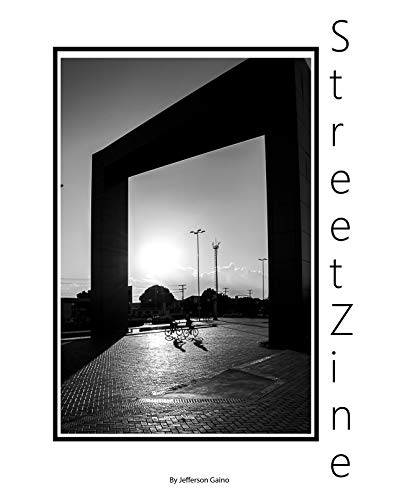 Capa do livro: Street Zine - Ler Online pdf